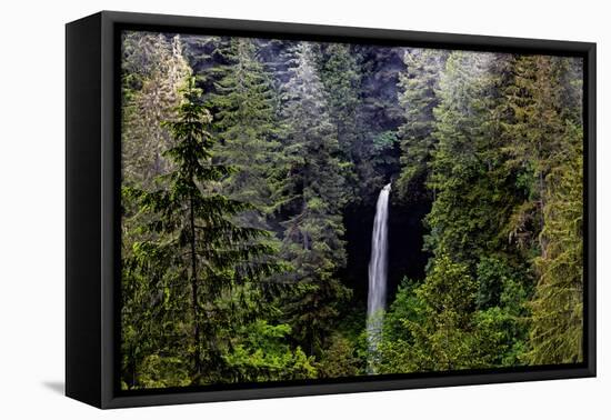 USA, Oregon, Silver Falls State Park, North Falls-Joe Restuccia III-Framed Premier Image Canvas