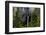 USA, Oregon, Silver Falls State Park, North Falls-Joe Restuccia III-Framed Photographic Print