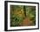 USA, Oregon, Silver Falls State Park. Scenic Park Trail-Steve Terrill-Framed Photographic Print