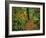 USA, Oregon, Silver Falls State Park. Scenic Park Trail-Steve Terrill-Framed Photographic Print