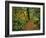 USA, Oregon, Silver Falls State Park. Scenic Park Trail-Steve Terrill-Framed Photographic Print