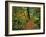 USA, Oregon, Silver Falls State Park. Scenic Park Trail-Steve Terrill-Framed Photographic Print