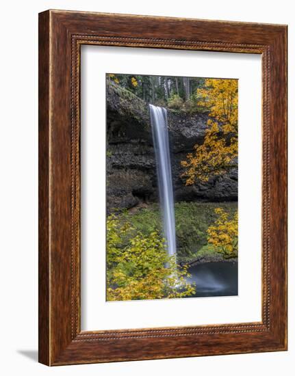 USA, Oregon, Silver Falls State Park. Tall waterfall and forest in autumn.-Jaynes Gallery-Framed Photographic Print