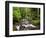 USA, Oregon, Siuslaw National Forest. Sweet Creek-Ann Collins-Framed Photographic Print