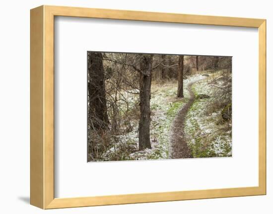 USA, Oregon, Smith Rock State Park Winter Trail-Brent Bergherm-Framed Photographic Print