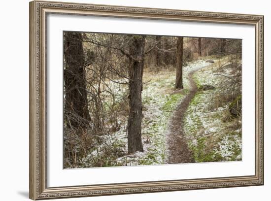 USA, Oregon, Smith Rock State Park Winter Trail-Brent Bergherm-Framed Photographic Print