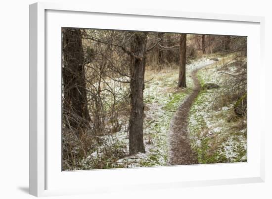 USA, Oregon, Smith Rock State Park Winter Trail-Brent Bergherm-Framed Photographic Print