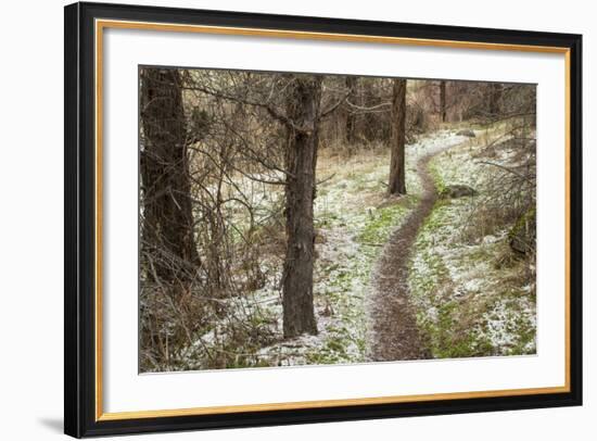 USA, Oregon, Smith Rock State Park Winter Trail-Brent Bergherm-Framed Photographic Print