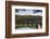 USA, Oregon. Sparks Lake Recreation Area, Elk Lake, docks with Mt. Bachelor.-Alison Jones-Framed Photographic Print