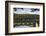 USA, Oregon. Sparks Lake Recreation Area, Elk Lake, docks with Mt. Bachelor.-Alison Jones-Framed Photographic Print