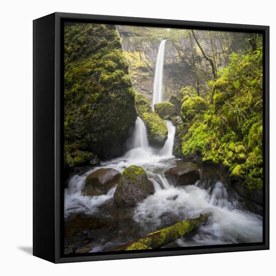 USA, Oregon. Spring view of McCord Creek flowing below Elowah Falls in the Columbia River Gorge.-Gary Luhm-Framed Premier Image Canvas