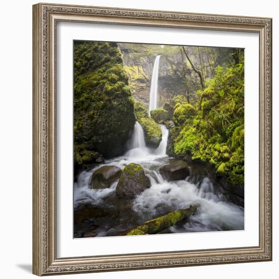 USA, Oregon. Spring view of McCord Creek flowing below Elowah Falls in the Columbia River Gorge.-Gary Luhm-Framed Photographic Print