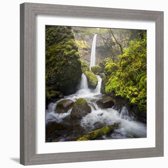 USA, Oregon. Spring view of McCord Creek flowing below Elowah Falls in the Columbia River Gorge.-Gary Luhm-Framed Photographic Print