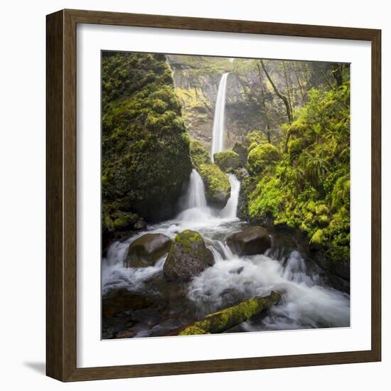 USA, Oregon. Spring view of McCord Creek flowing below Elowah Falls in the Columbia River Gorge.-Gary Luhm-Framed Photographic Print