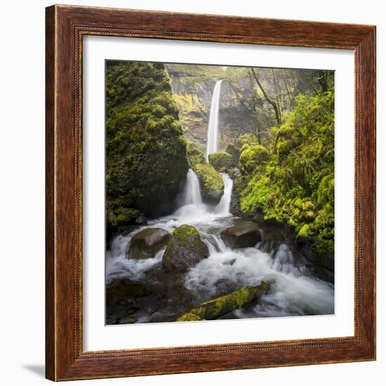 USA, Oregon. Spring view of McCord Creek flowing below Elowah Falls in the Columbia River Gorge.-Gary Luhm-Framed Photographic Print