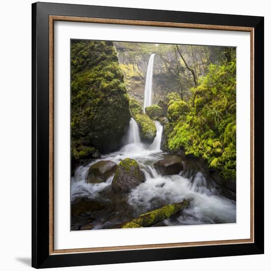 USA, Oregon. Spring view of McCord Creek flowing below Elowah Falls in the Columbia River Gorge.-Gary Luhm-Framed Photographic Print