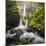 USA, Oregon. Spring view of McCord Creek flowing below Elowah Falls in the Columbia River Gorge.-Gary Luhm-Mounted Photographic Print