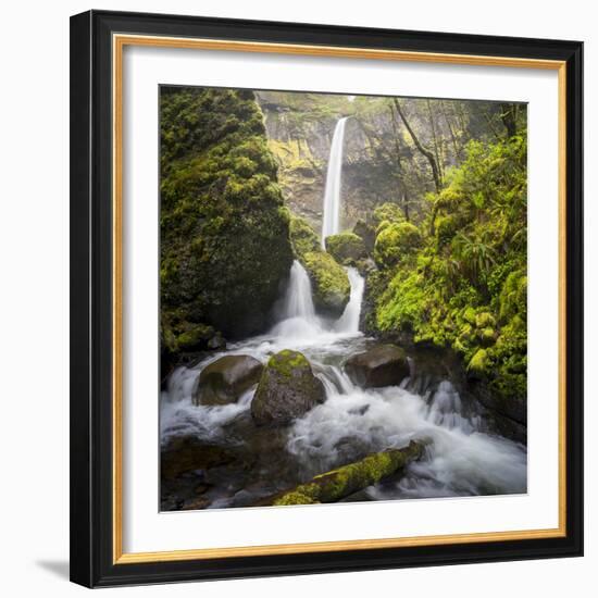 USA, Oregon. Spring view of McCord Creek flowing below Elowah Falls in the Columbia River Gorge.-Gary Luhm-Framed Photographic Print