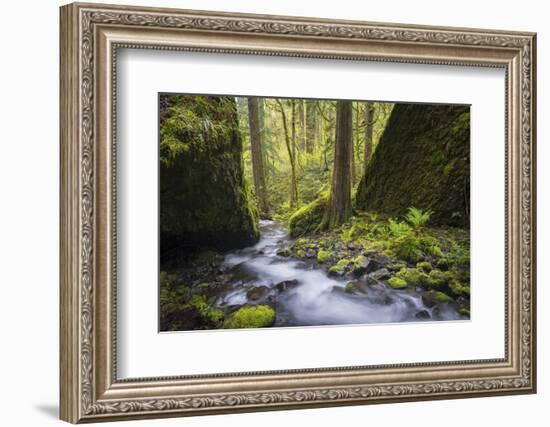 USA, Oregon. Spring view of Ruckle Creek in the Columbia River Gorge.-Gary Luhm-Framed Photographic Print