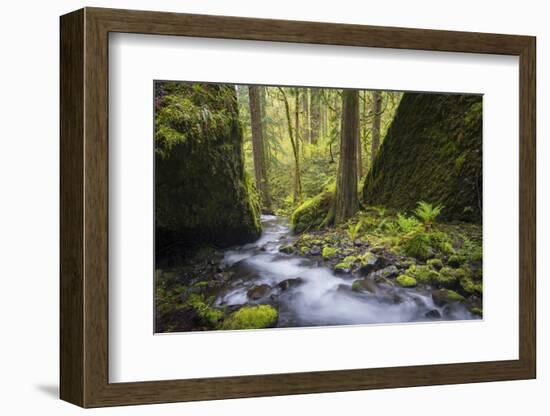 USA, Oregon. Spring view of Ruckle Creek in the Columbia River Gorge.-Gary Luhm-Framed Photographic Print