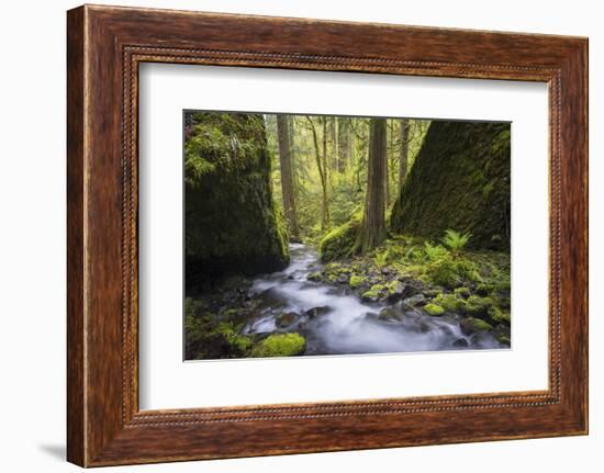 USA, Oregon. Spring view of Ruckle Creek in the Columbia River Gorge.-Gary Luhm-Framed Photographic Print