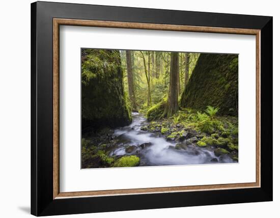 USA, Oregon. Spring view of Ruckle Creek in the Columbia River Gorge.-Gary Luhm-Framed Photographic Print