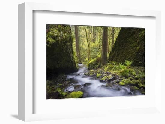 USA, Oregon. Spring view of Ruckle Creek in the Columbia River Gorge.-Gary Luhm-Framed Photographic Print