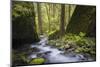 USA, Oregon. Spring view of Ruckle Creek in the Columbia River Gorge.-Gary Luhm-Mounted Photographic Print