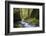 USA, Oregon. Spring view of Ruckle Creek in the Columbia River Gorge.-Gary Luhm-Framed Photographic Print