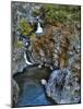 USA, Oregon. Stair Creek Falls Along the Rogue River-Steve Terrill-Mounted Photographic Print