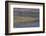 USA, Oregon, Tahkenitch Lake. Abstract of Duck Weed on Lake-Don Paulson-Framed Photographic Print