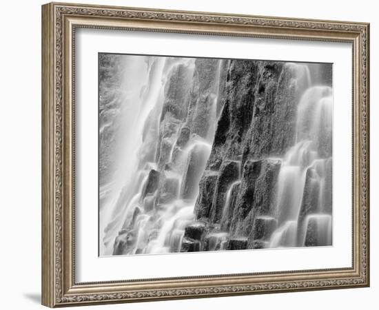 USA, Oregon, Three Sisters Wilderness Area. Close-up of Proxy Falls-Dennis Flaherty-Framed Photographic Print