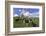 USA, Oregon, Tillamook County. Holstein cows in pasture.-Jaynes Gallery-Framed Photographic Print