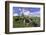 USA, Oregon, Tillamook County. Holstein cows in pasture.-Jaynes Gallery-Framed Photographic Print