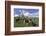 USA, Oregon, Tillamook County. Holstein cows in pasture.-Jaynes Gallery-Framed Photographic Print