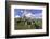 USA, Oregon, Tillamook County. Holstein cows in pasture.-Jaynes Gallery-Framed Photographic Print