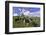 USA, Oregon, Tillamook County. Holstein cows in pasture.-Jaynes Gallery-Framed Photographic Print