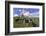 USA, Oregon, Tillamook County. Holstein cows in pasture.-Jaynes Gallery-Framed Photographic Print