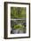 USA, Oregon, Tillamook State Forest. Scenic of Wilson River-Jaynes Gallery-Framed Photographic Print