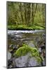 USA, Oregon, Tillamook State Forest. Scenic of Wilson River-Jaynes Gallery-Mounted Photographic Print