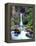 USA, Oregon, Toketee Waterfall and Basalt Formation-Jaynes Gallery-Framed Premier Image Canvas