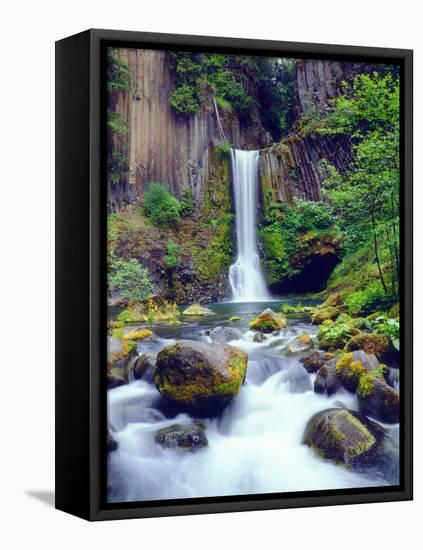 USA, Oregon, Toketee Waterfall and Basalt Formation-Jaynes Gallery-Framed Premier Image Canvas