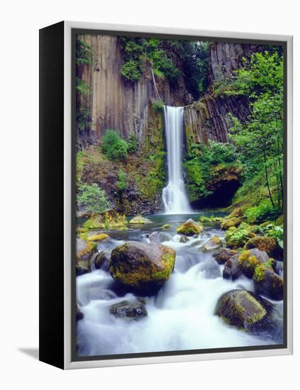 USA, Oregon, Toketee Waterfall and Basalt Formation-Jaynes Gallery-Framed Premier Image Canvas