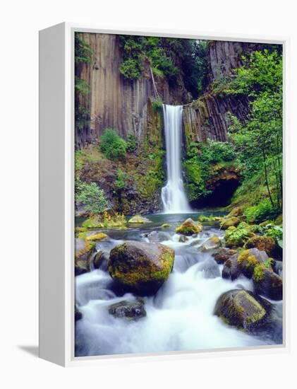 USA, Oregon, Toketee Waterfall and Basalt Formation-Jaynes Gallery-Framed Premier Image Canvas