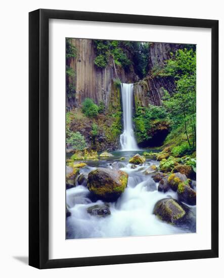 USA, Oregon, Toketee Waterfall and Basalt Formation-Jaynes Gallery-Framed Photographic Print