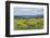 USA, Oregon. Tom McCall Nature Preserve, Rowena Plateau wildflowers.-Rob Tilley-Framed Photographic Print