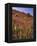 USA, Oregon, USA, Oregon. Hillside of Foxglove in Clatsop County-Steve Terrill-Framed Premier Image Canvas