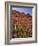 USA, Oregon, USA, Oregon. Hillside of Foxglove in Clatsop County-Steve Terrill-Framed Photographic Print