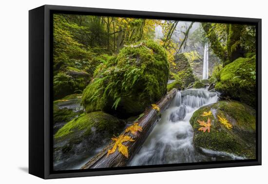 USA, Oregon. View from Below Elowah Falls on Mccord Creek in Autumn in the Columbia Gorge-Gary Luhm-Framed Premier Image Canvas