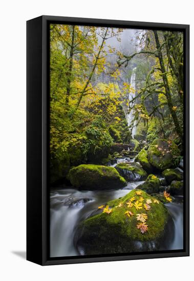 USA, Oregon. View from Below Elowah Falls on Mccord Creek in Autumn in the Columbia Gorge-Gary Luhm-Framed Premier Image Canvas